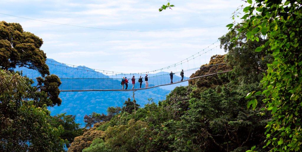 5 Days Nyungwe Forest National Park Tour